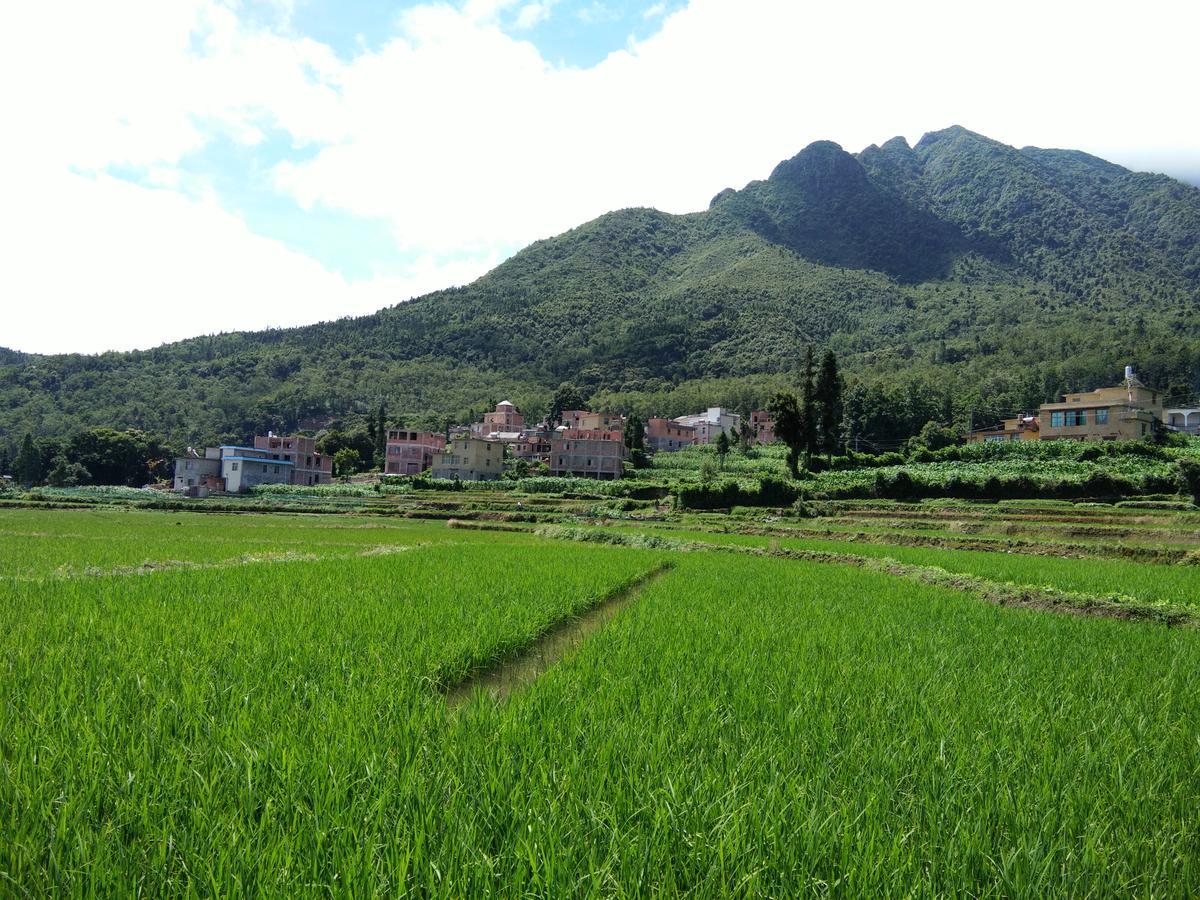 Belinda Backpackers Guesthouse Yuanyang  Zewnętrze zdjęcie