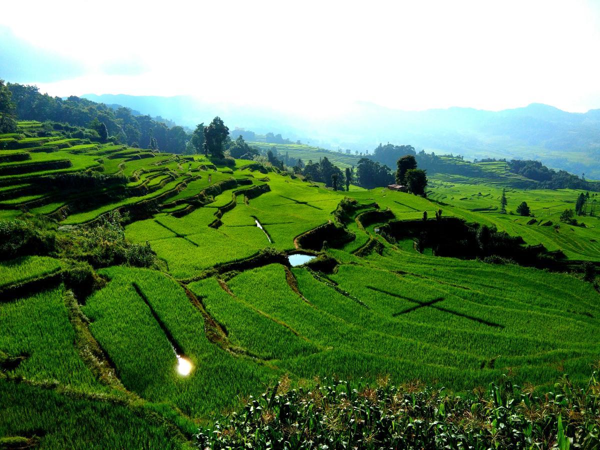 Belinda Backpackers Guesthouse Yuanyang  Zewnętrze zdjęcie